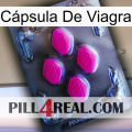 Cápsula De Viagra 02